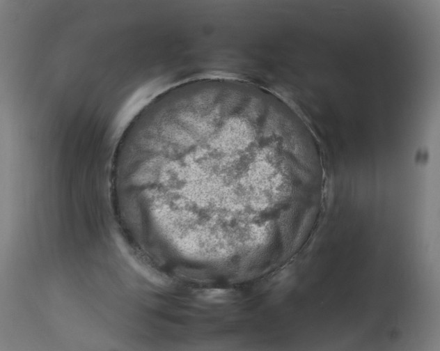 X0000112770151200909171321