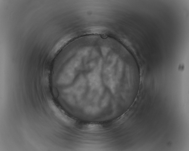 X0000112770154200909171321