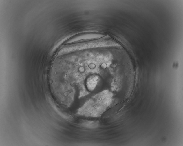 X0000112770155200909171321