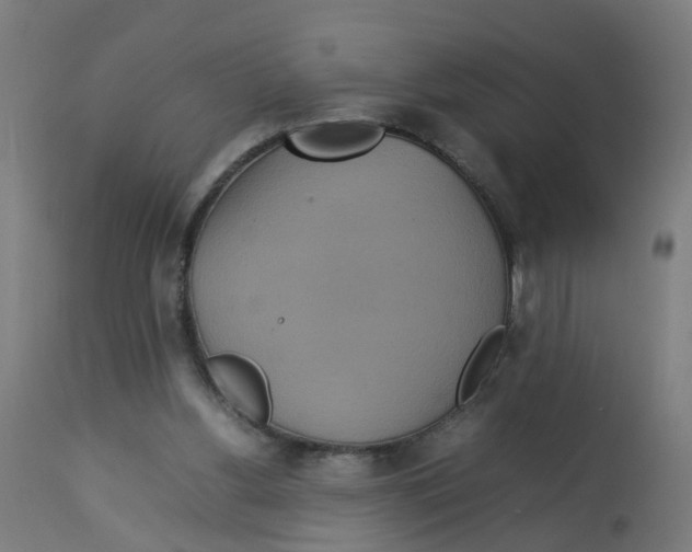 X0000112770156200909171321