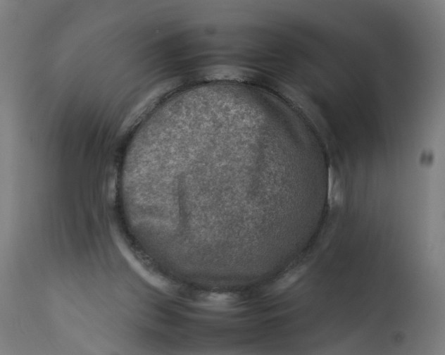 X0000112770157200909171321