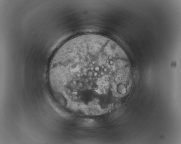 X0000112770159200909171321