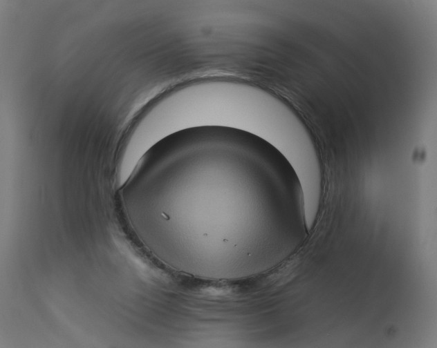 X0000112770160200909171322