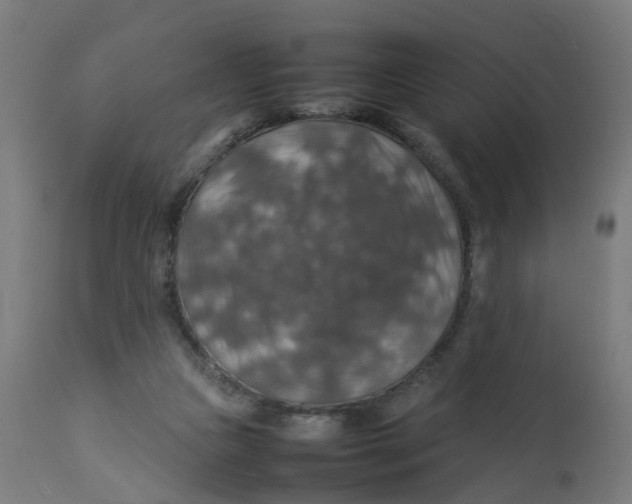 X0000112770161200909171322