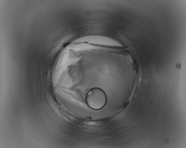 X0000112770163200909171322