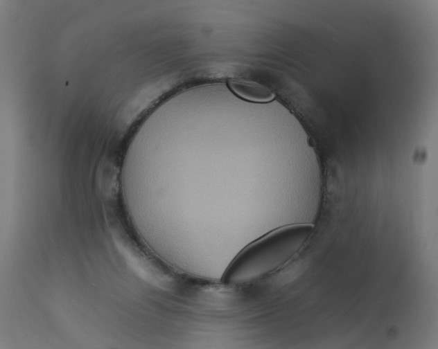 X0000112770164200909171322