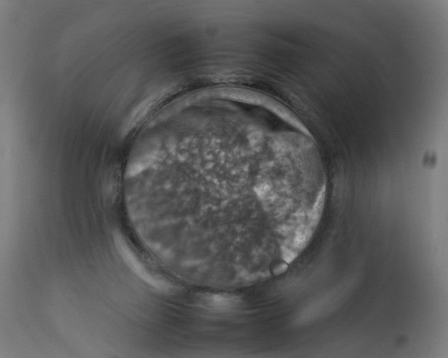 X0000112770165200909171322