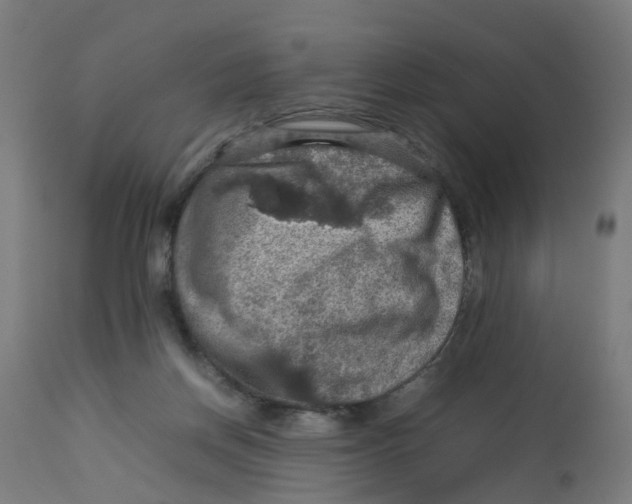 X0000112770166200909171322