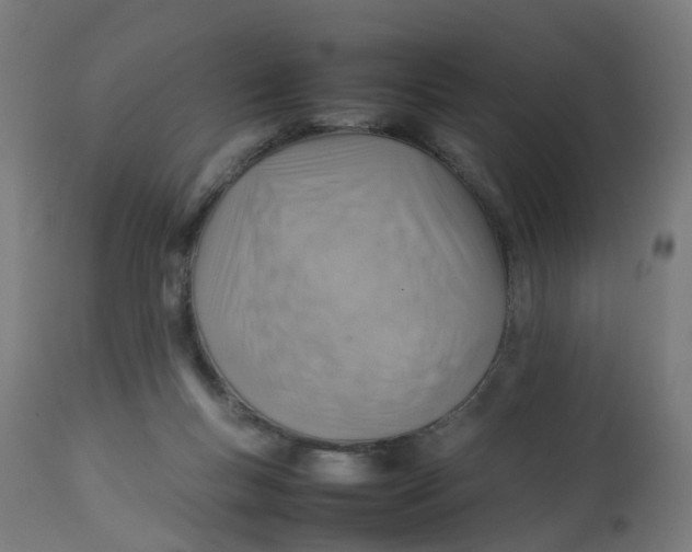 X0000112770167200909171322