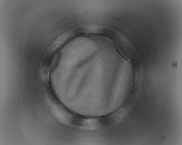 X0000112770168200909171322