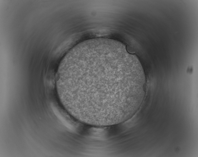 X0000112770170200909171322