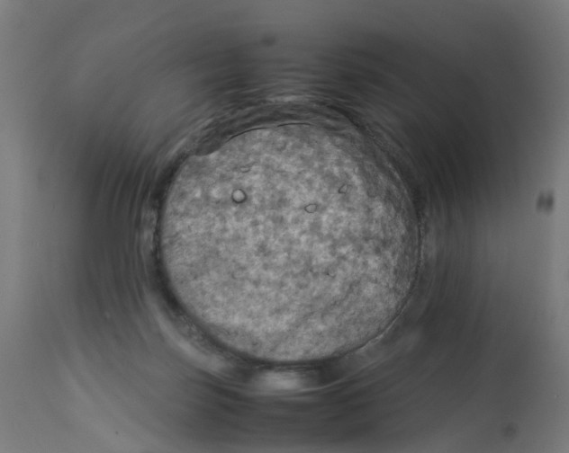 X0000112770171200909171322