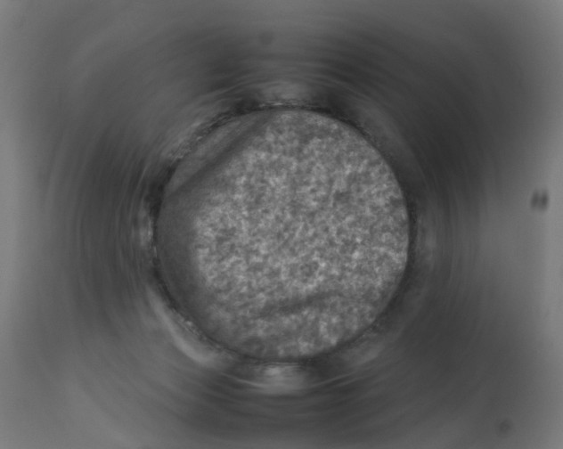 X0000112770173200909171322