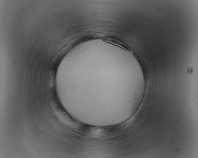 X0000112770174200909171322