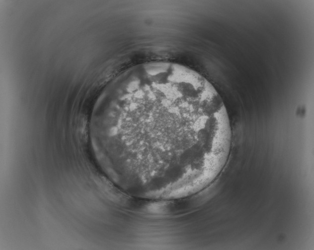 X0000112770178200909171322