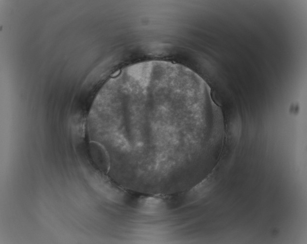 X0000112770180200909171322