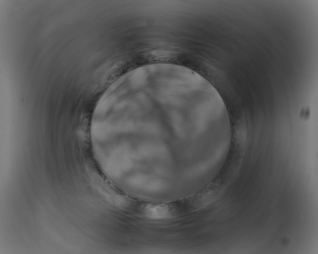 X0000112770181200909171322