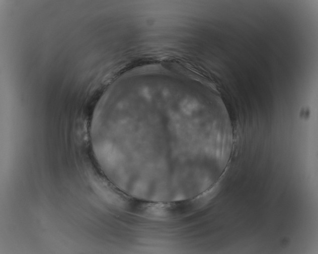 X0000112770182200909171322