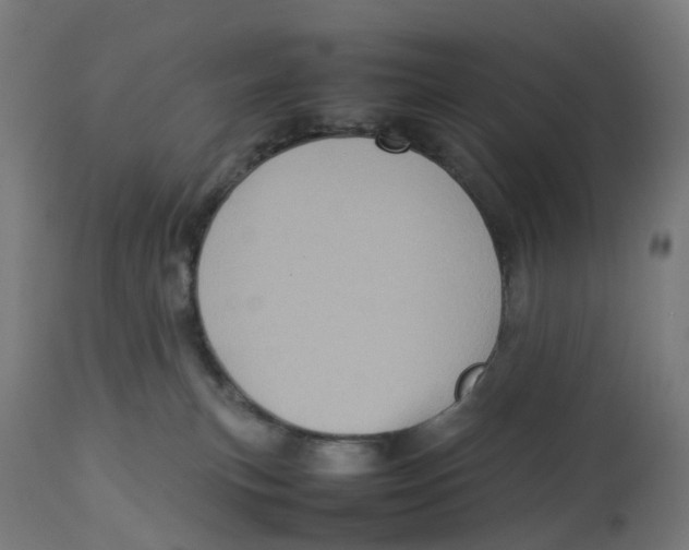 X0000112770183200909171322