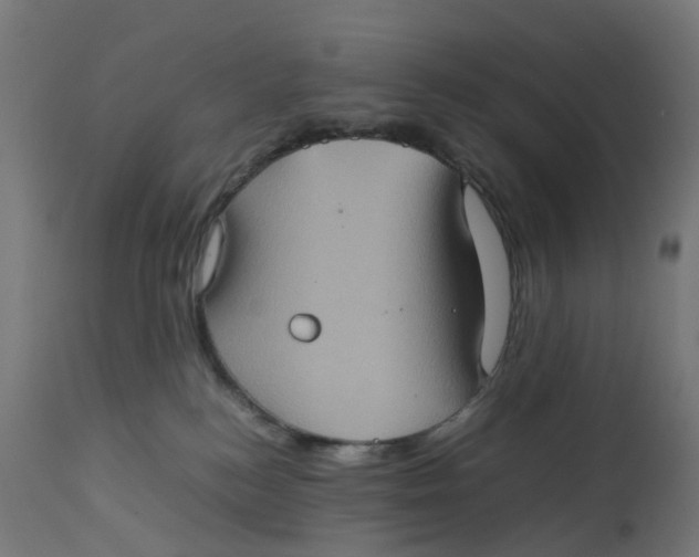 X0000112770184200909171322