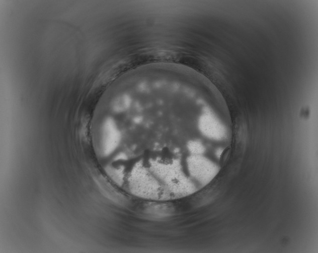 X0000112770185200909171322