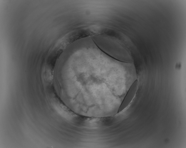 X0000112770186200909171322