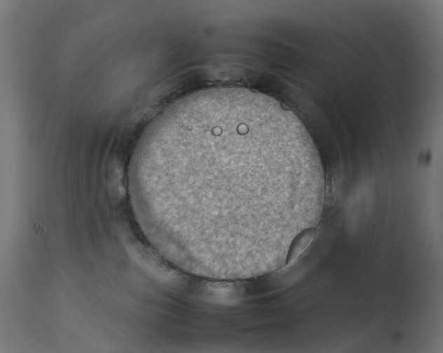 X0000112770187200909171322