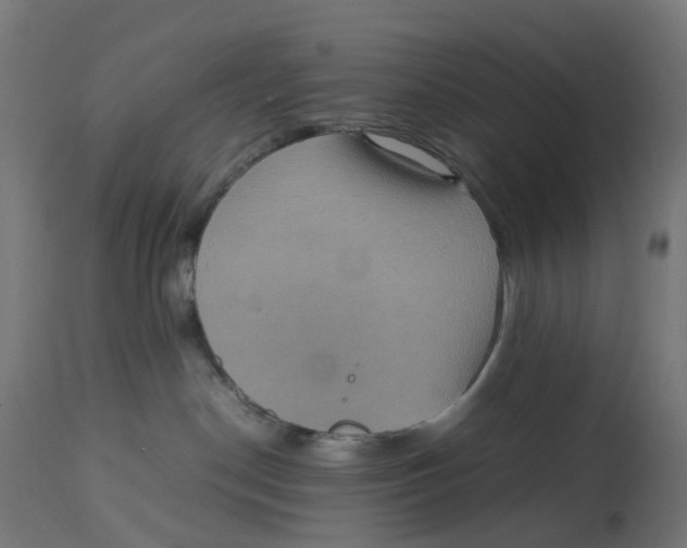 X0000112770190200909171322