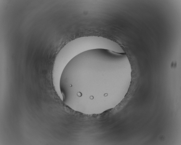 X0000112770192200909171322