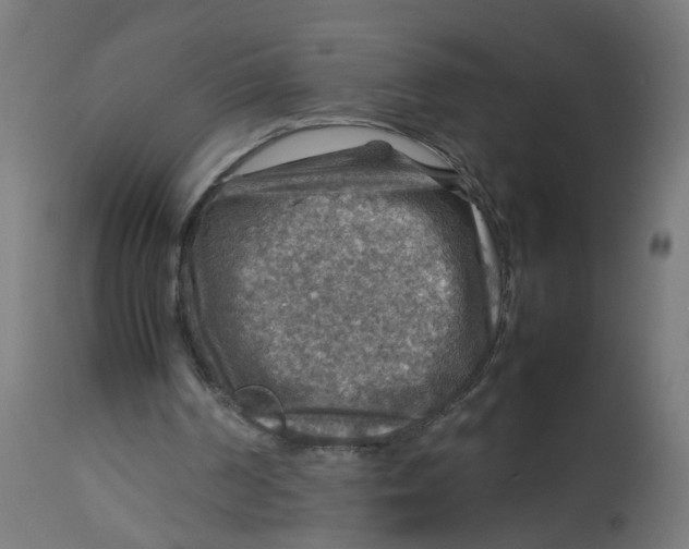 X0000112770194200909171321