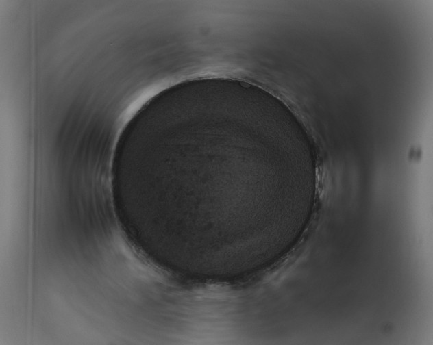 X0000112770196200909171321