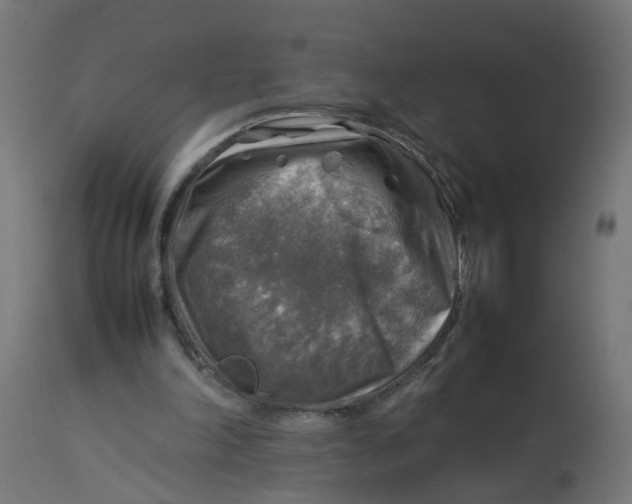 X0000112770198200909171321