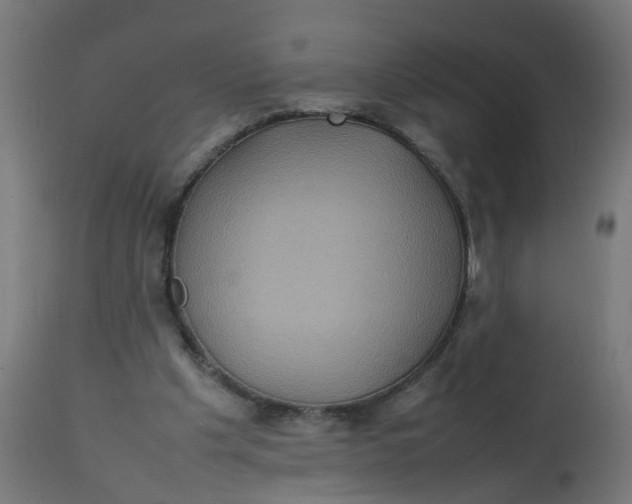 X0000112770201200909171321