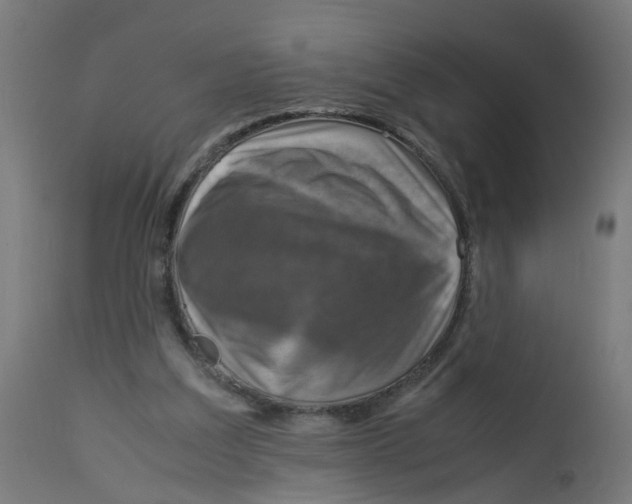 X0000112770203200909171321