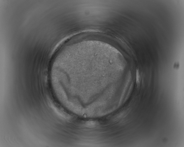 X0000112770204200909171321