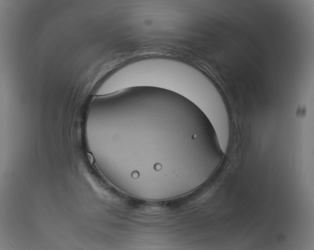 X0000112770205200909171321