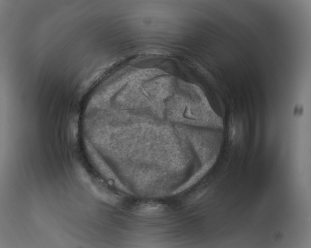 X0000112770206200909171321