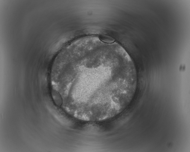 X0000112770207200909171321