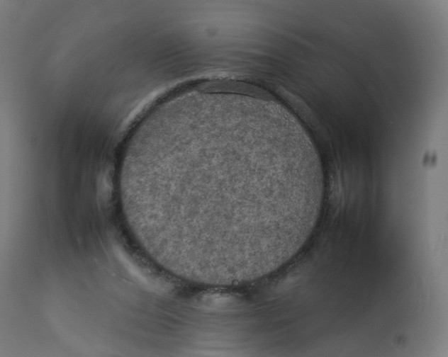 X0000112770208200909171321