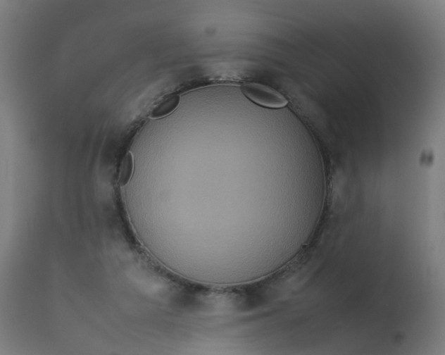 X0000112770209200909171321