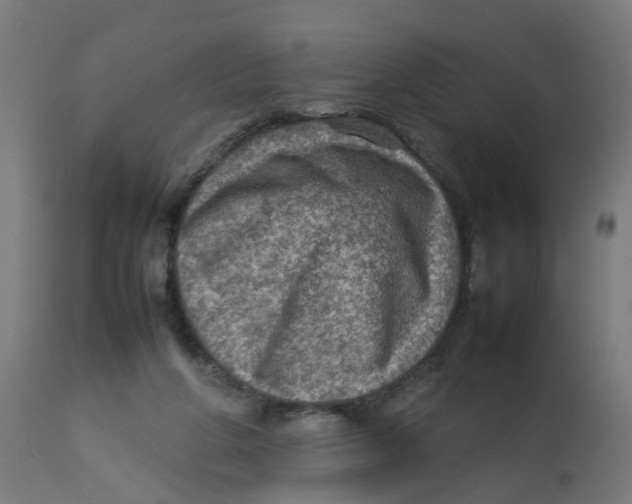 X0000112770210200909171321