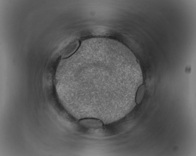 X0000112770211200909171321