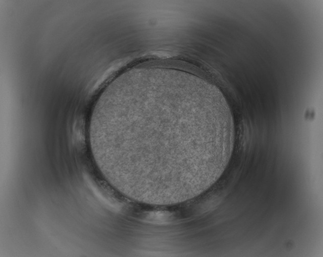 X0000112770212200909171321