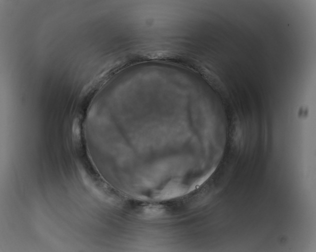 X0000112770214200909171321