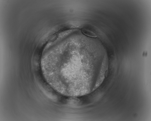 X0000112770215200909171321