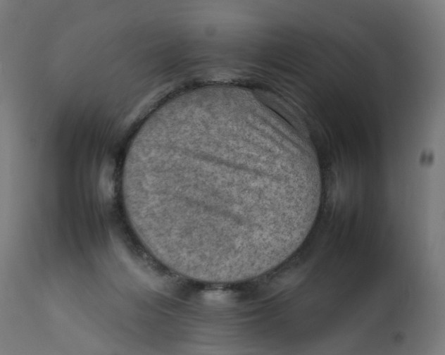 X0000112770216200909171321