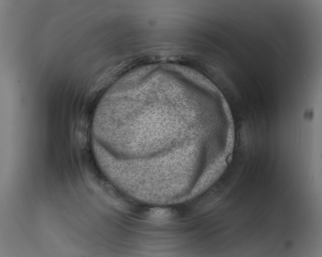 X0000112770218200909171321