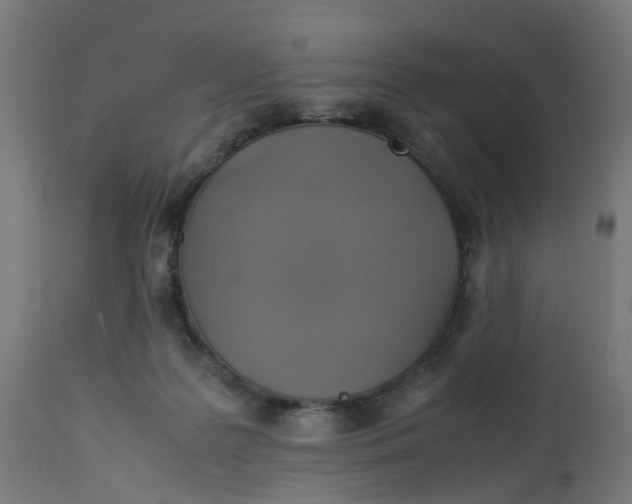 X0000112770219200909171321