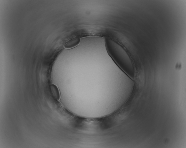 X0000112770221200909171321