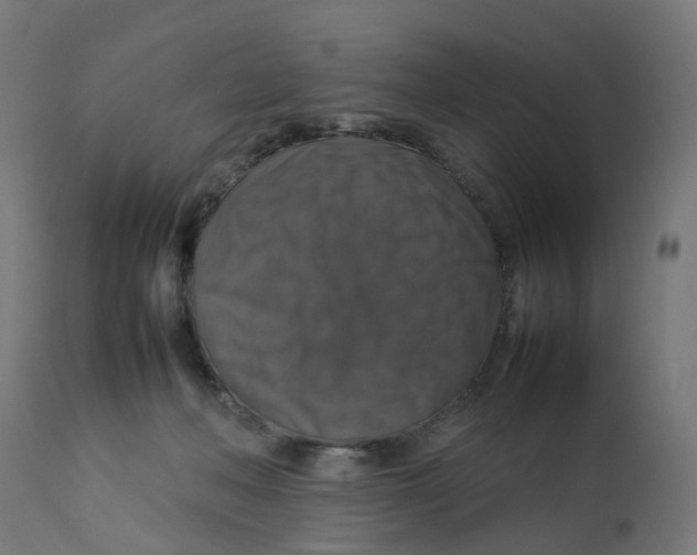 X0000112770222200909171321